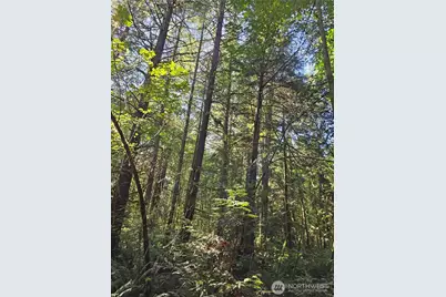 12624 183rd Avenue SW, Rochester, WA 98579 - Photo 21