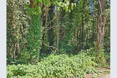 12624 183rd Avenue SW, Rochester, WA 98579 - Photo 5