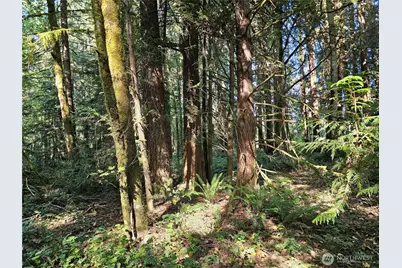 12624 183rd Avenue SW, Rochester, WA 98579 - Photo 19