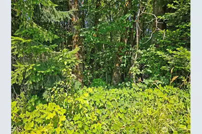 12624 183rd Avenue SW, Rochester, WA 98579 - Photo 3