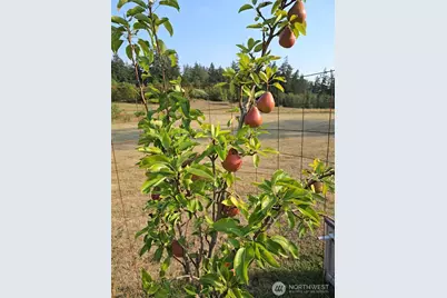 437 Woodpecker Lane, Friday Harbor, WA 98250 - Photo 27