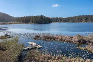 437 Woodpecker Ln, Friday Harbor, WA 98250 - Photo 5