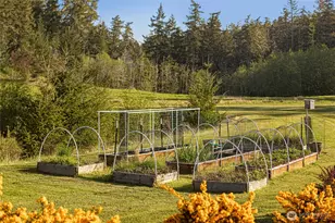 437 Woodpecker Ln, Friday Harbor, WA 98250 - Photo 15