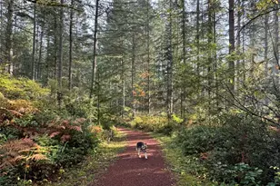 3977 McCormick Vlg Dr, Bremerton, WA 98312 - Photo 35