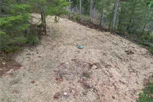 8942 W McKenna Falls Rd W, Bremerton, WA 98312 - Photo 27