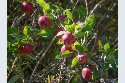 463 Miller Road, Sequim, WA 98382 - Photo 25