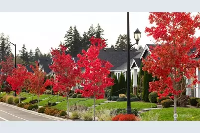 9016 Bowthorpe Street SE, Lacey, WA 98513 - Photo 11