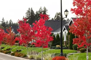 9016 Bowthorpe St SE, Lacey, WA 98513 - Photo 11