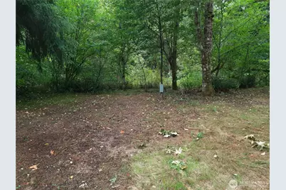 13816 White Falls Lane, Concrete, WA 98237 - Photo 21