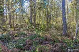 7918 165th St Ct E, Puyallup, WA 98375 - Photo 35