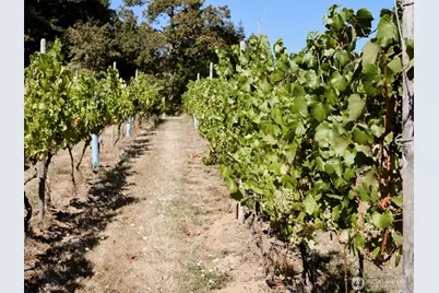 11700 NE 279th Street, Battle Ground, WA 98604 - Photo 7