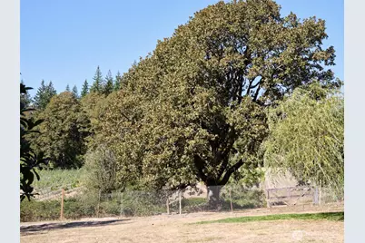 11700 NE 279th Street, Battle Ground, WA 98604 - Photo 33