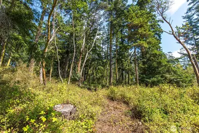 9999 Discovery Road, Port Townsend, WA 98368 - Photo 11