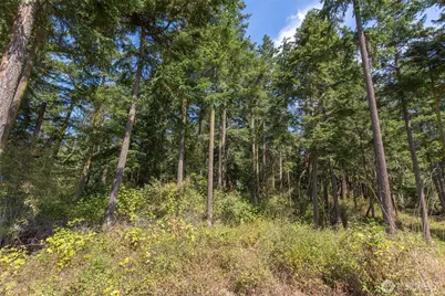 9999 Discovery Road, Port Townsend, WA 98368 - Photo 7