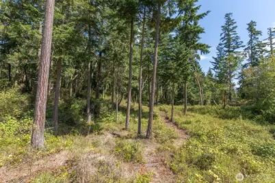 9999 Discovery Road, Port Townsend, WA 98368 - Photo 9