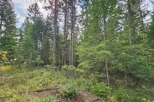 717 Dry Gulch Rd, Colville, WA 99114 - Photo 31