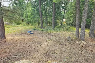 717 Dry Gulch Rd, Colville, WA 99114 - Photo 29