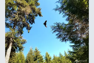 125 Parker Woods Lane, Coupeville, WA 98239 - Photo 37