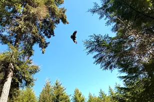 125 Parker Woods Ln, Coupeville, WA 98239 - Photo 37