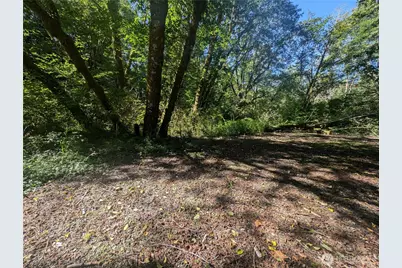 999 Whitcomb-Dimmel Road, Forks, WA 98331 - Photo 11