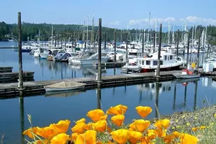 51 McCartney Peak Ln, Port Ludlow, WA 98365 - Photo 15