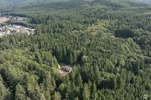 1417 Stanford Dr, Cosmopolis, WA 98537 - Photo 29