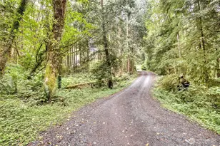 1417 Stanford Dr, Cosmopolis, WA 98537 - Photo 27