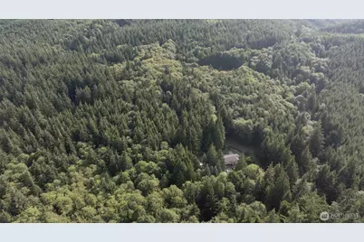 1417 Stanford Drive, Cosmopolis, WA 98537 - Photo 31