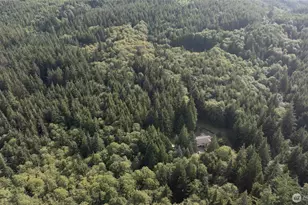 1417 Stanford Dr, Cosmopolis, WA 98537 - Photo 31