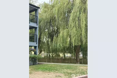 20318 Bothell Everett Highway #A303, Bothell, WA 98012 - Photo 15