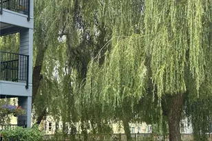 20318 Bothell Everett Hwy, Bothell, WA 98012 - Photo 15