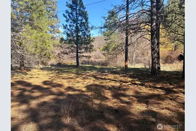 32900 Hawk Creek Ranch Rd N, Davenport, WA 99122 - Photo 3