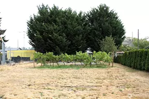 6439 S Clement Ave, Tacoma, WA 98409 - Photo 9