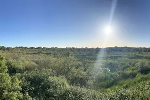 4241 Rural Ave, Bellingham, WA 98226 - Photo 5