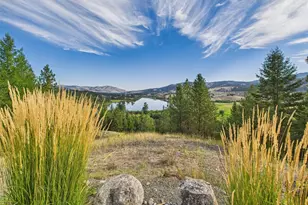 154 W Curlew Lake Rd, Republic, WA 99166 - Photo 3