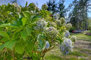 5315 Whiteman Rd SW, Longbranch, WA 98351 - Photo 7