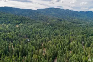 1850 Timber Mountain Loop, Cle Elum, WA 98922 - Photo 15