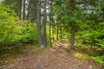 1850 Timber Mountain Loop, Cle Elum, WA 98922 - Photo 13