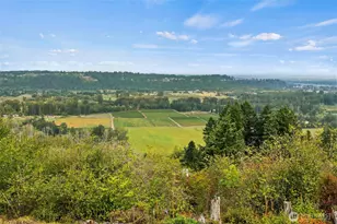 10405 176th Ave E, Bonney Lake, WA 98391 - Photo 39