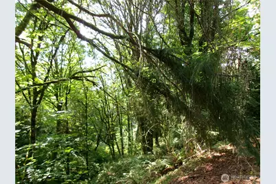 6724 SE Sedgwick Road, Port Orchard, WA 98366 - Photo 9