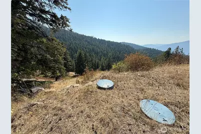 167 Excelsior Way, Curlew, WA 99118 - Photo 27