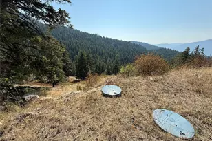 167 Excelsior Way, Curlew, WA 99118 - Photo 27