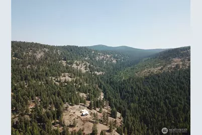 167 Excelsior Way, Curlew, WA 99118 - Photo 39