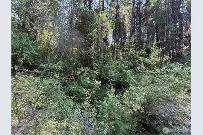 167 Excelsior Way, Curlew, WA 99118 - Photo 29