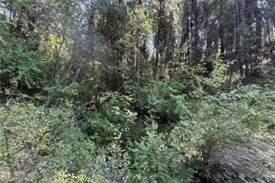 167 Excelsior Way, Curlew, WA 99118 - Photo 29