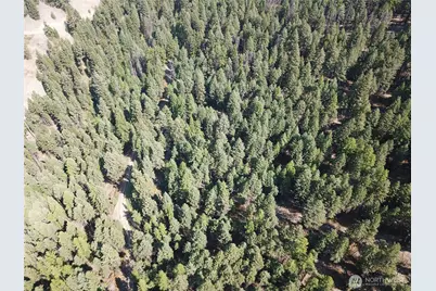 167 Excelsior Way, Curlew, WA 99118 - Photo 37