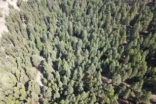 167 Excelsior Way, Curlew, WA 99118 - Photo 37