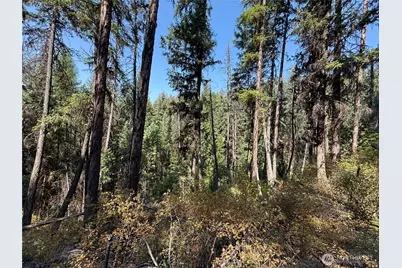 167 Excelsior Way, Curlew, WA 99118 - Photo 35