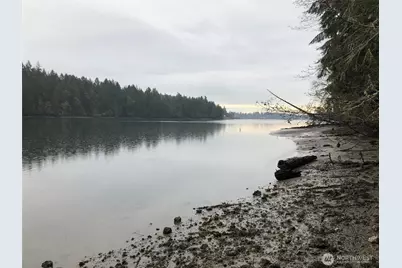 4101 161st Avenue SW, Longbranch, WA 98351 - Photo 3