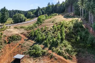 248 Crego Hill Rd, Chehalis, WA 98532 - Photo 35